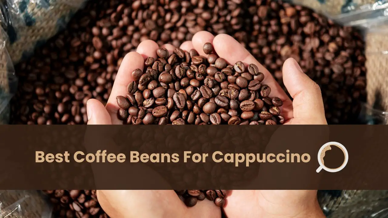 best coffee beans for cappuccino