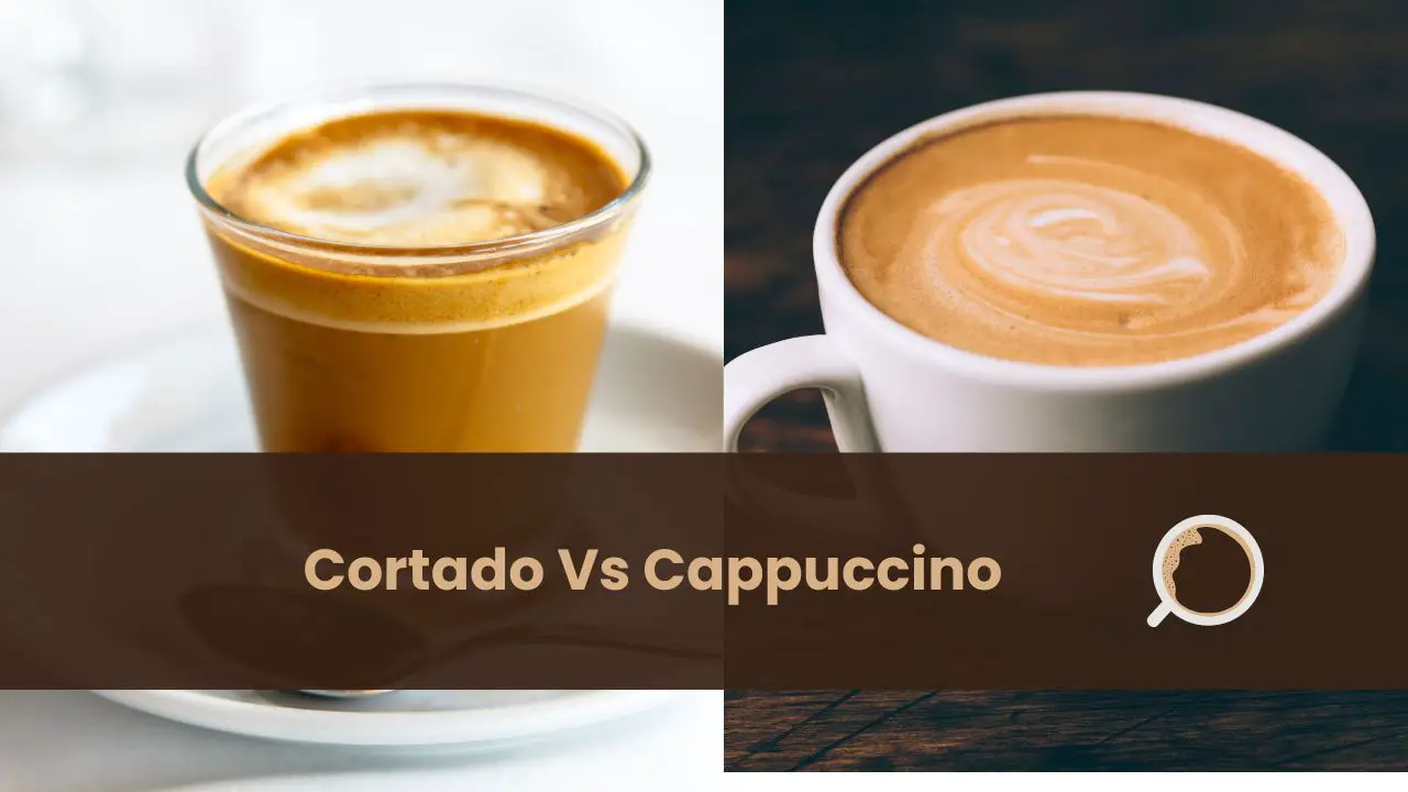 cappuccino vs cortado