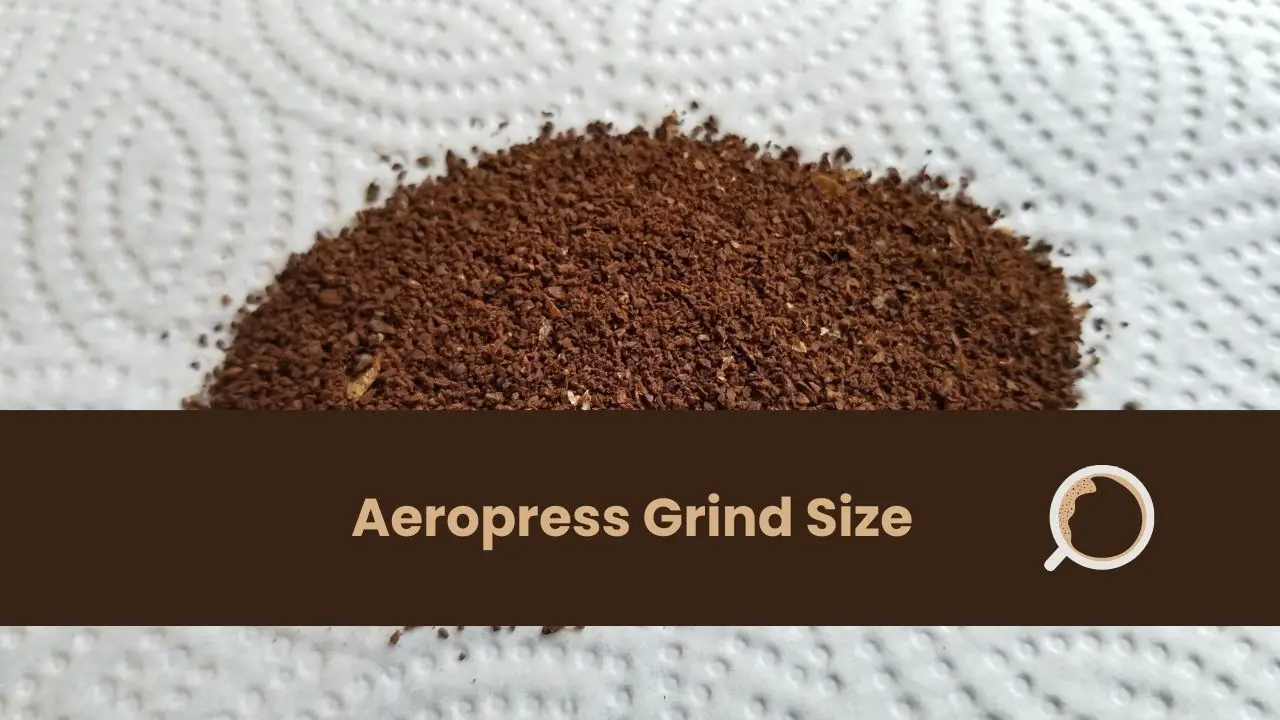 Aeropress grind size