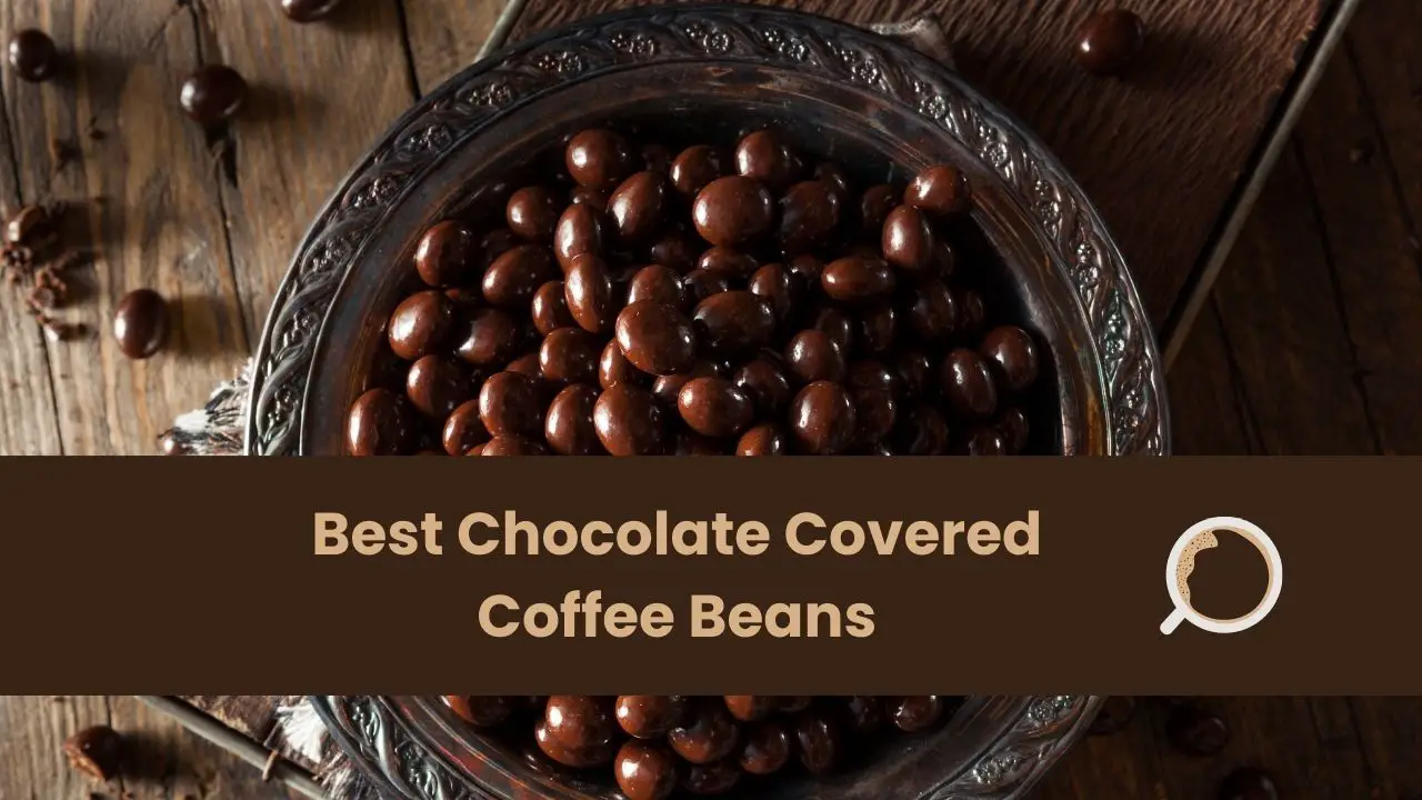 Best Chocolate Covered Coffee Beans