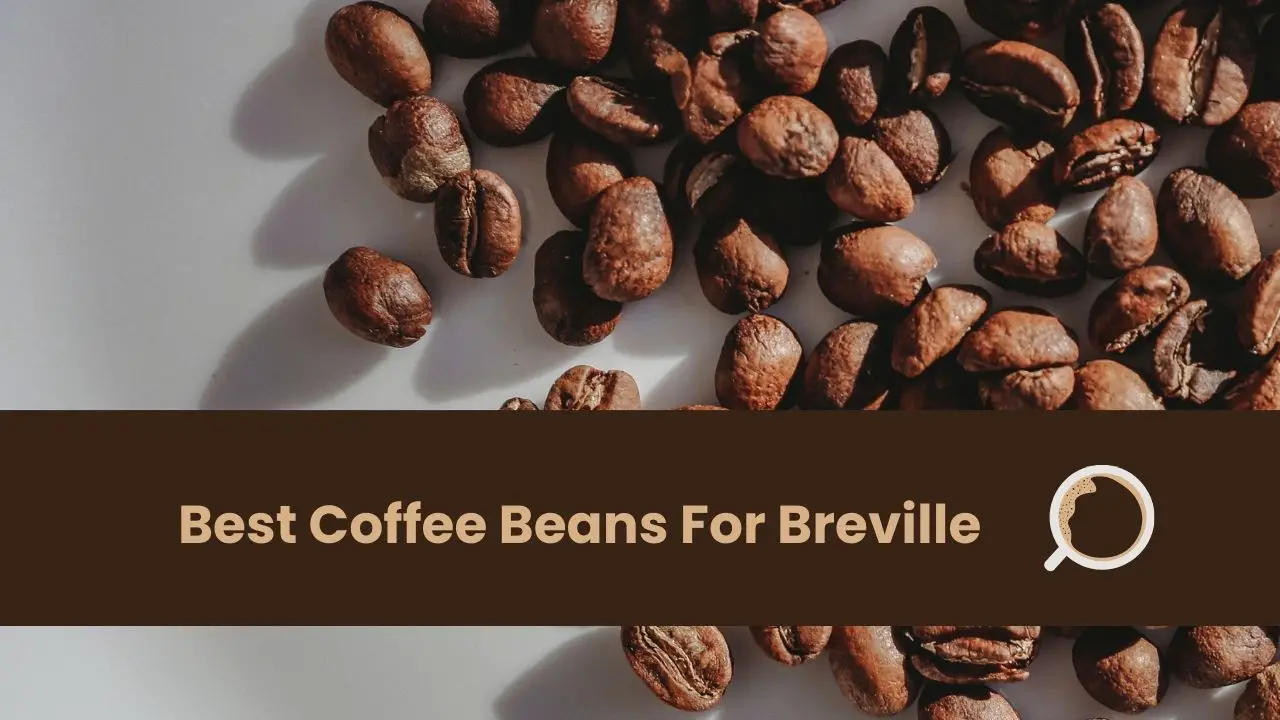 Best Coffee Beans For Breville