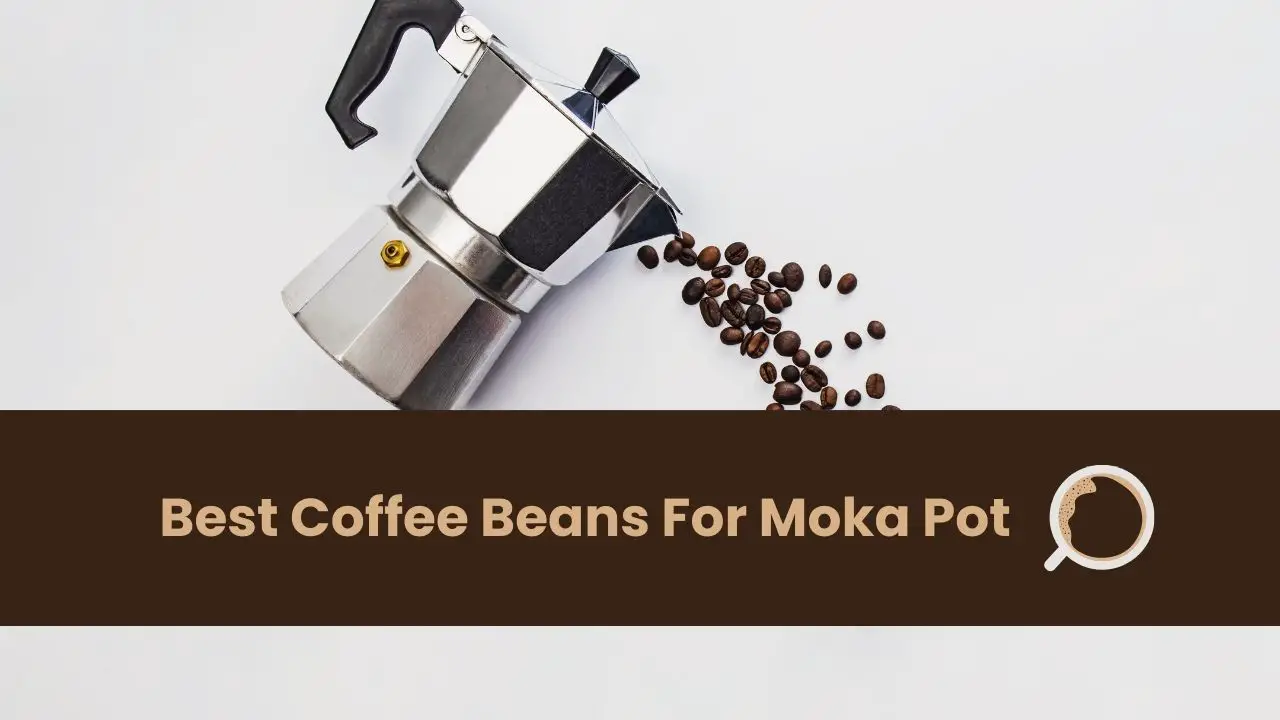 Best Coffee Beans For Moka Pot