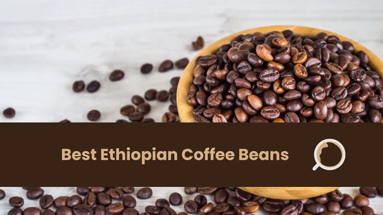 Best Ethiopian Coffee Beans