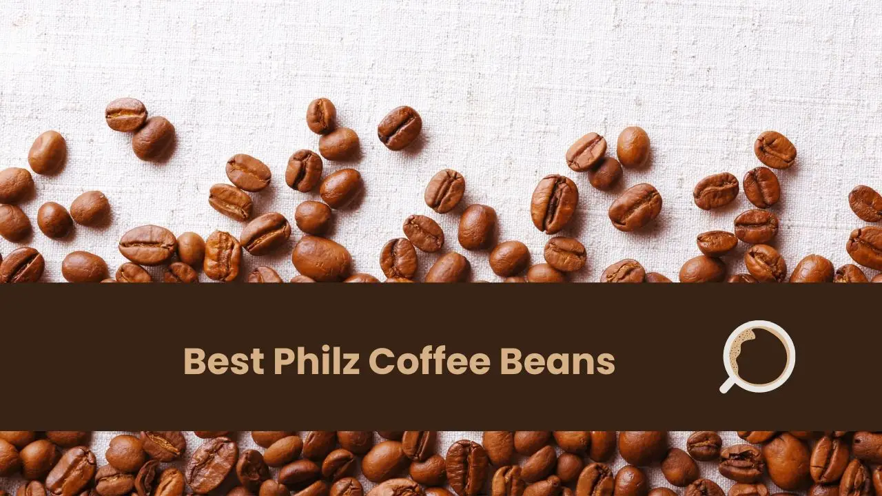 Best Philz Coffee Beans