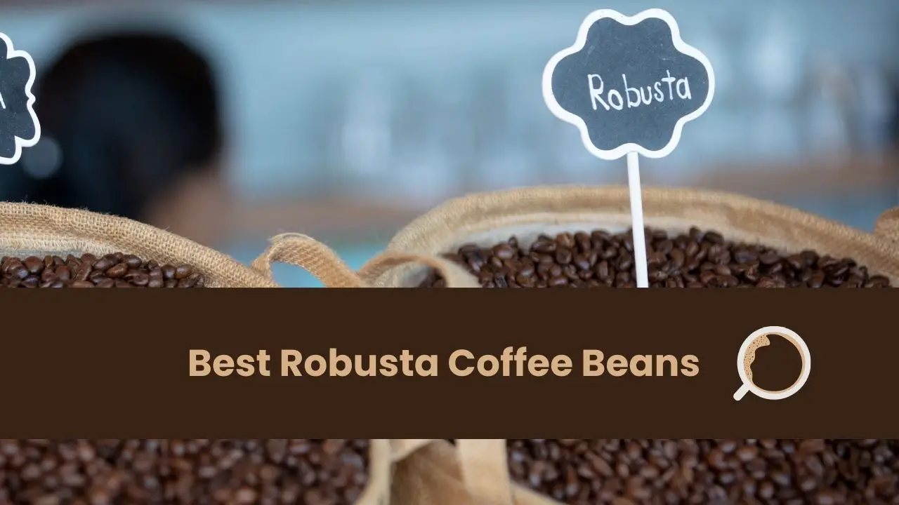 Best Robusta Coffee Beans