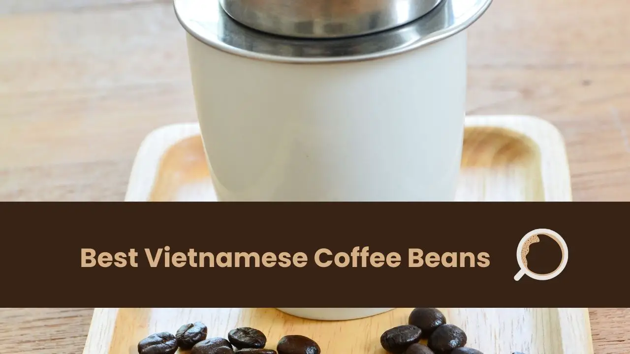 Best Vietnamese Coffee Beans