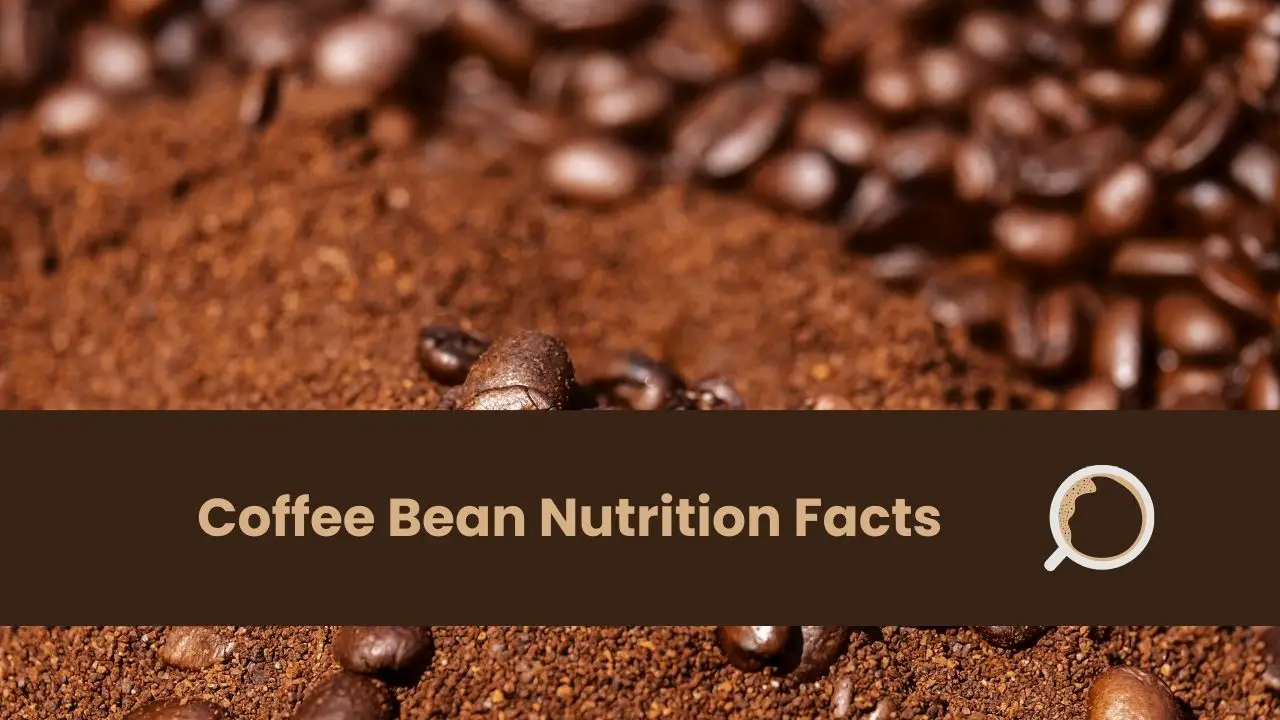 Coffee Bean Nutrition Facts