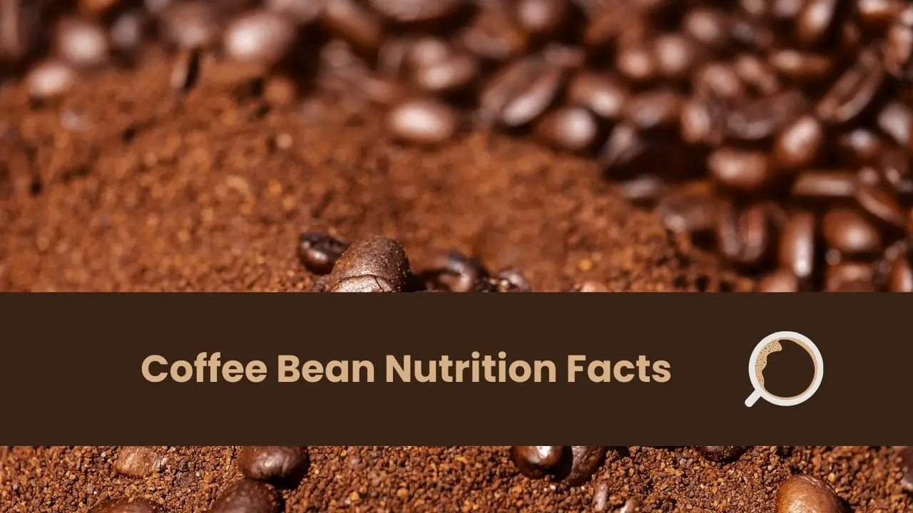 Coffee Bean Nutrition Facts Everything About Coffee Kitchen House Coffee