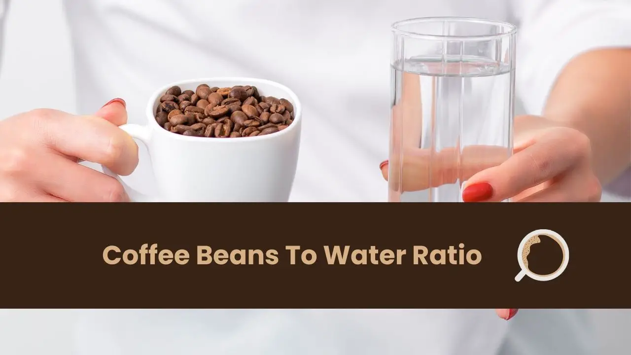 Coffee Beans To Water Ratio