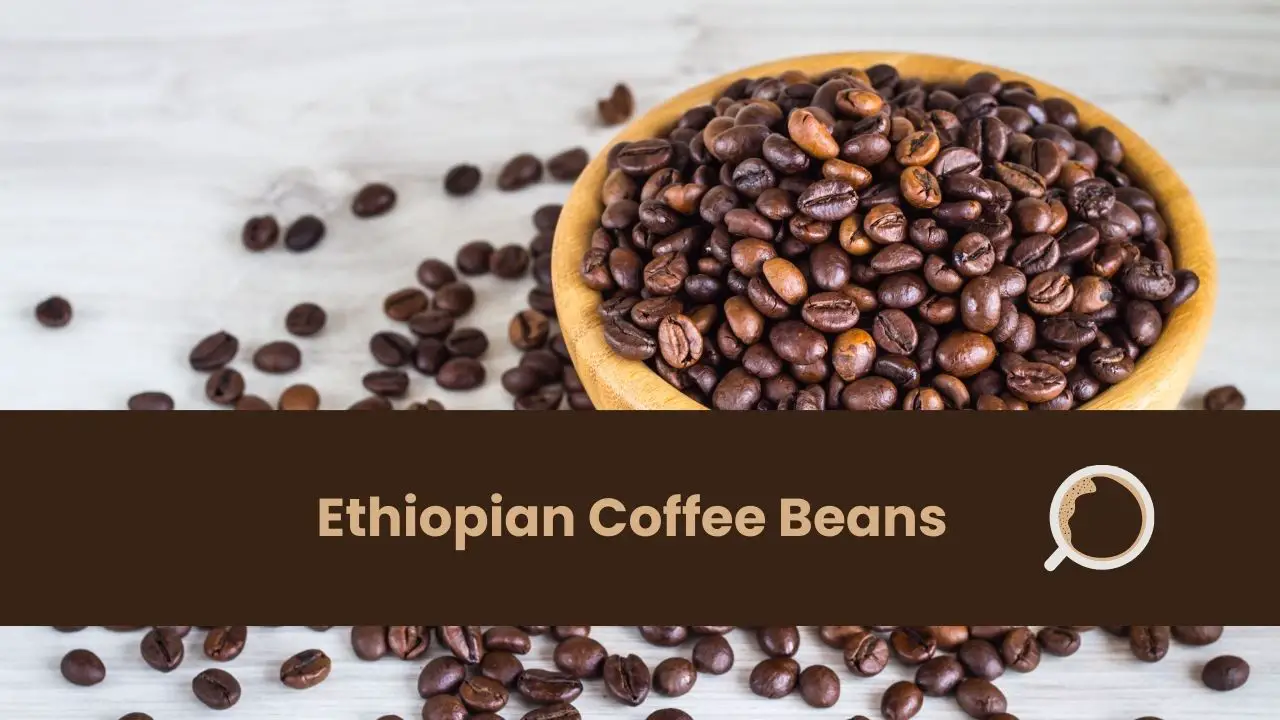 Ethiopian Coffee Beans