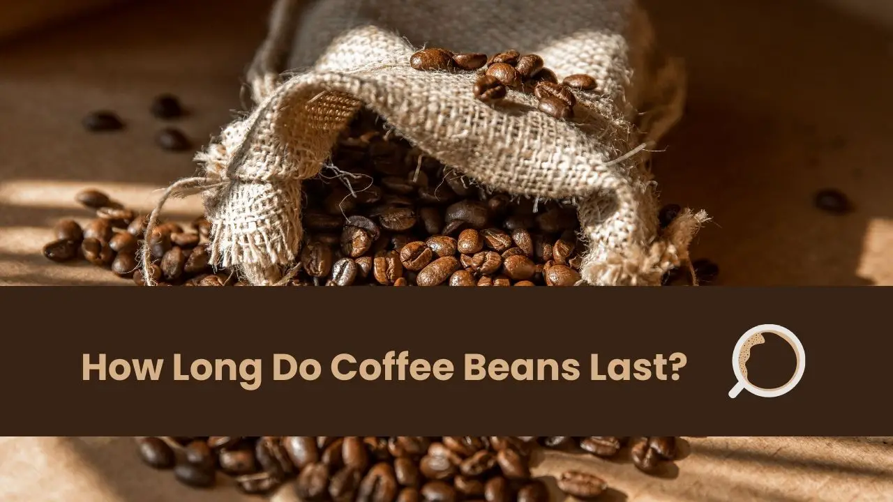 How Long Do Coffee Beans Last