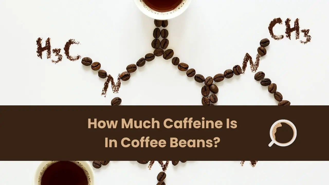 How Much Caffeine Is In Coffee Beans