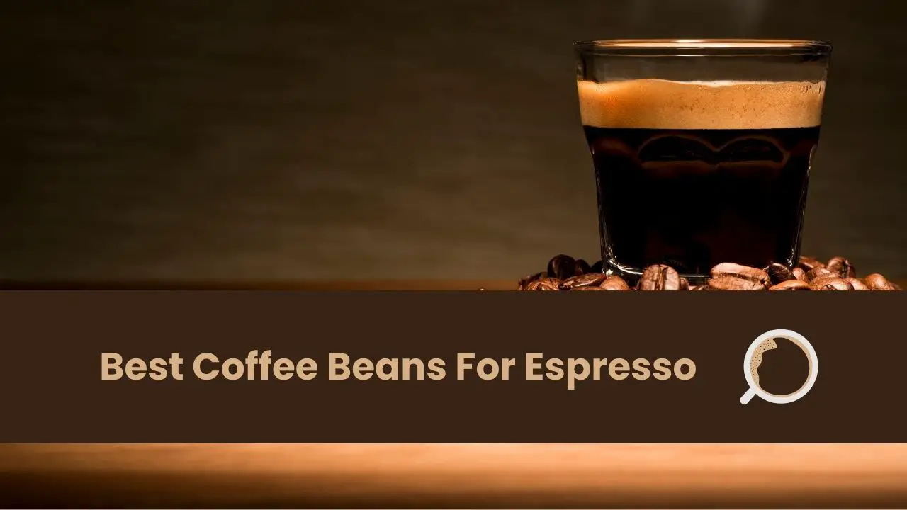 best coffee beans for espresso