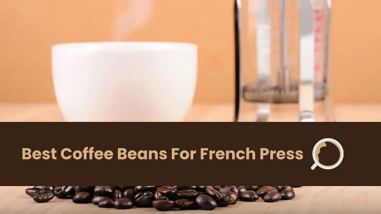 best coffee beans for french press