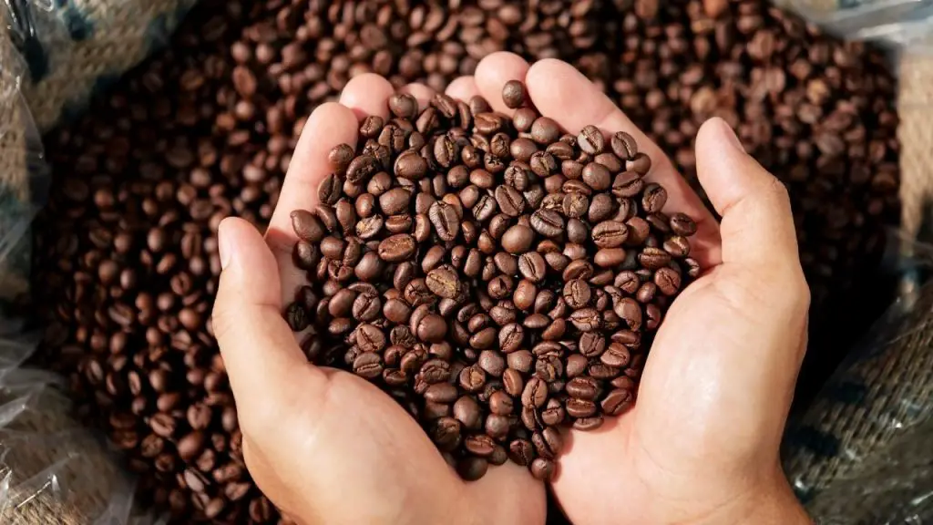 coffee bean image