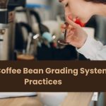 Best Coffee Bean Grading System Practices