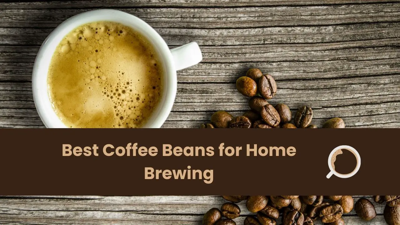 Best Coffee Beans for Home Brewing