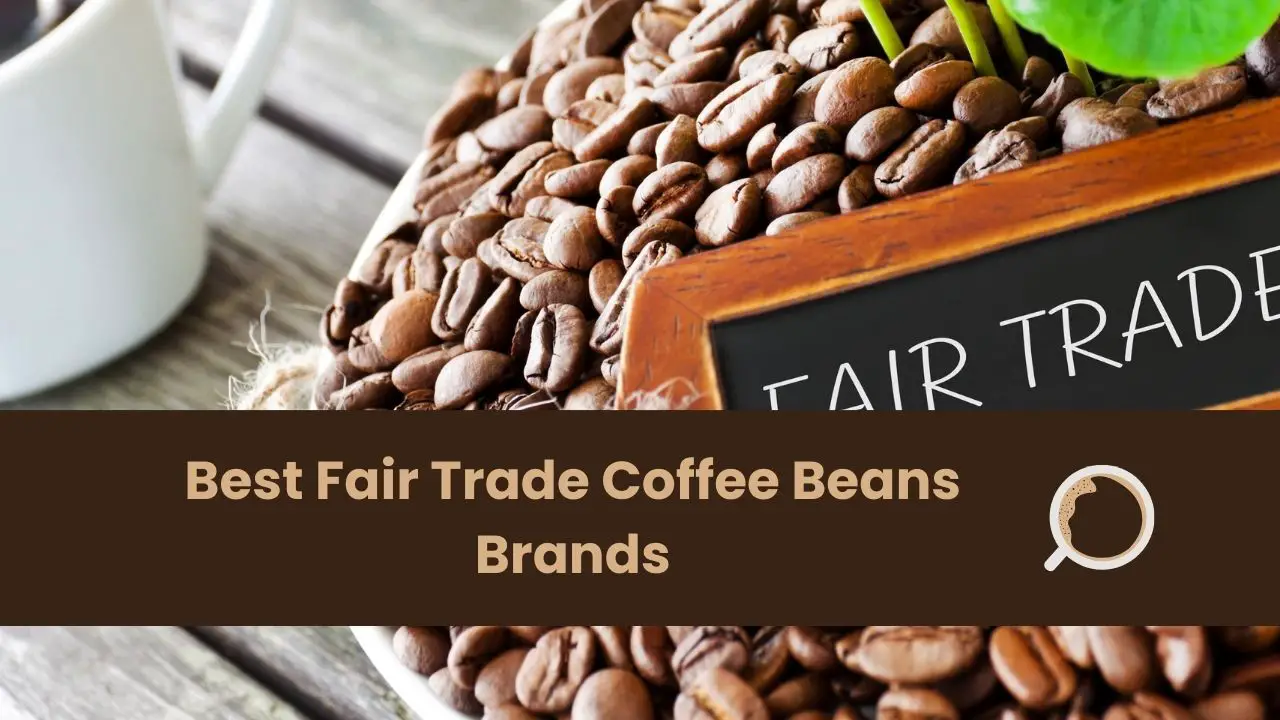 Best Fair Trade Coffee Beans Brands