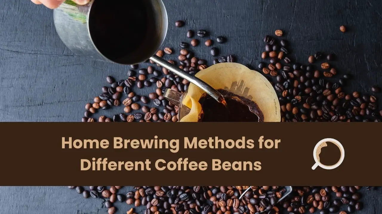Home Brewing Methods for Different Coffee Beans