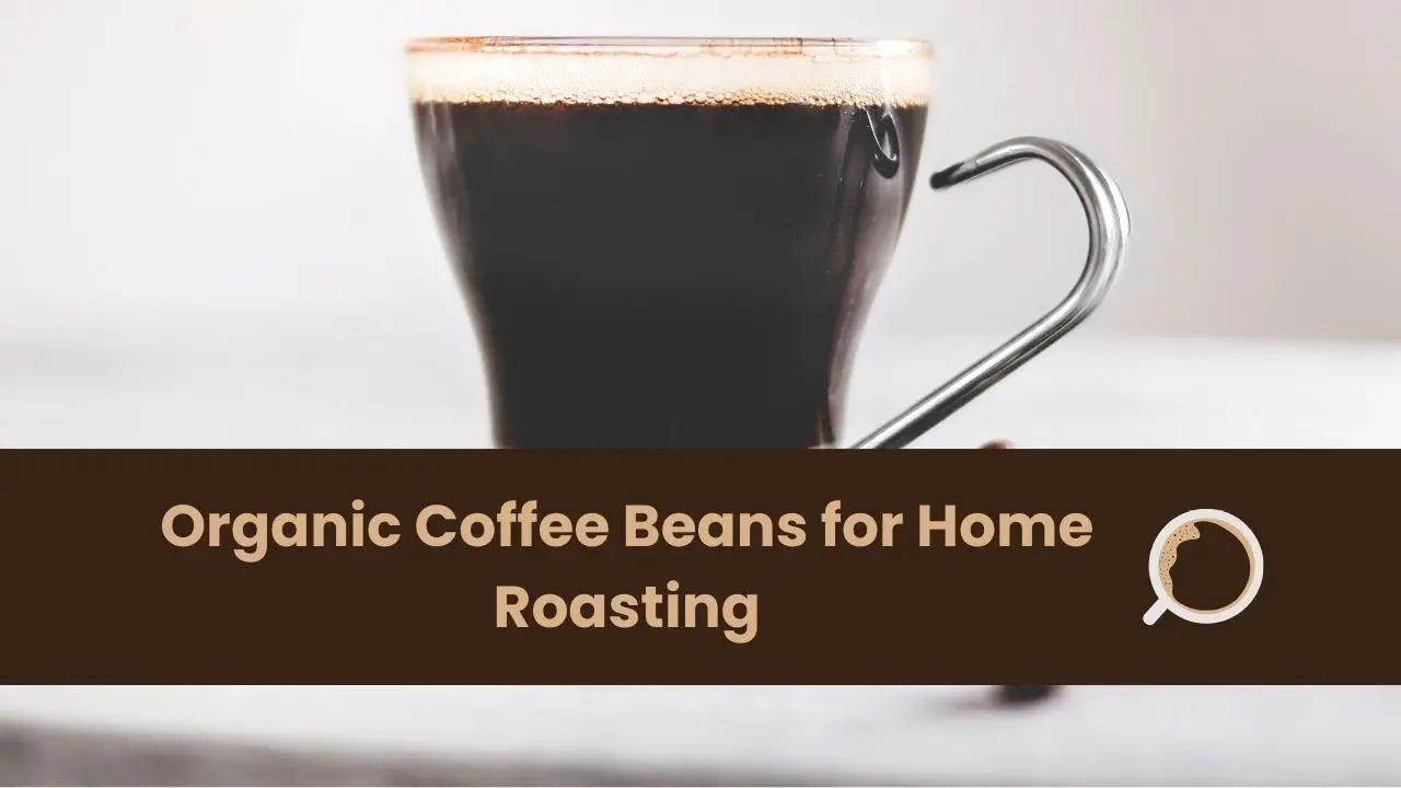 Organic Coffee Beans for Home Roasting
