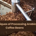 Techniques of Processing Arabica Coffee Beans