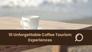 coffee tourism experiences