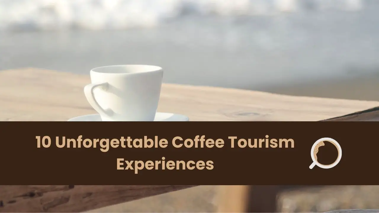 coffee tourism experiences